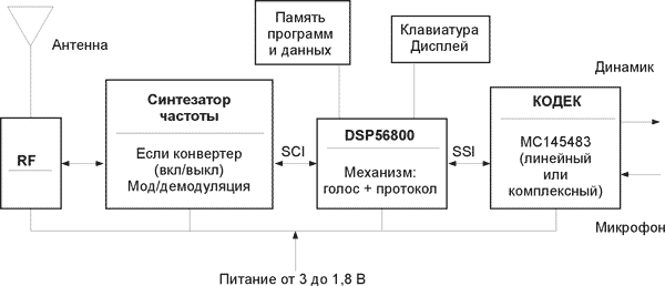      DSP56800